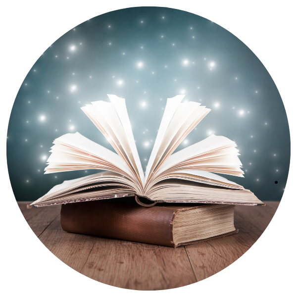 Courses Taught in English